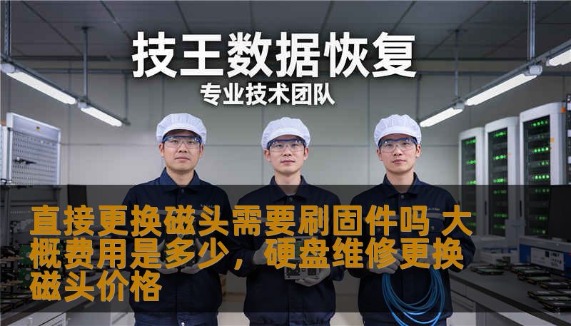 直接更换磁头需要刷固件吗 大概费用是多少,硬盘维修更换磁头价格 直接更换磁头需要刷固件吗 大概费用是多少,硬盘维修更换磁头价格