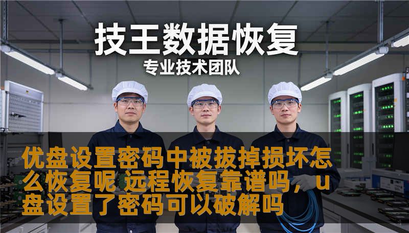 优盘设置密码中被拔掉损坏怎么恢复呢 远程恢复靠谱吗，u盘设置了密码可以破解吗