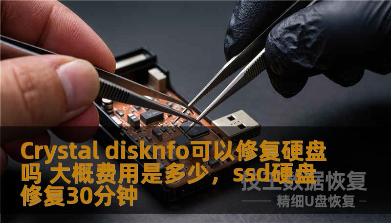 本文详细介绍了CrystalDiskInfo软件的功能，探讨了它是否能够修复硬盘故障，并对使用该软件的成本进行分析，帮助用户更好地了解硬盘健康检查及维修过程。