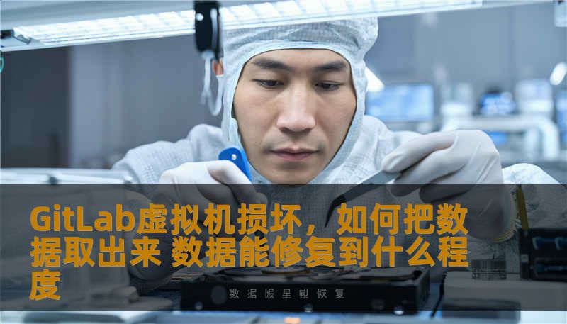 探讨GitLab虚拟机损坏后的数据恢复方法与修复程度，提供实用指导与案例分析。
