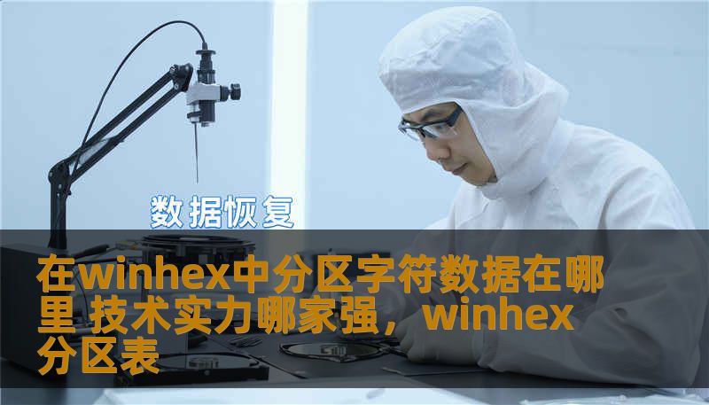 了解如何通过WinHex查找和操作分区字符数据，掌握先进的数据处理技巧，提升您的技术实力，成就数据管理的专业之道。