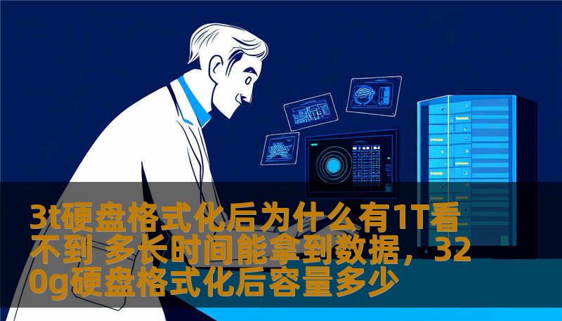 3t硬盘格式化后为什么有1T看不到 多长时间能拿到数据，320g硬盘格式化后容量多少