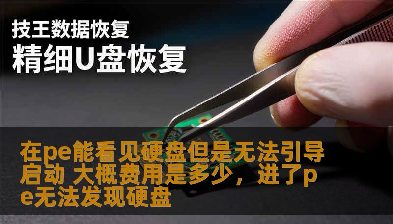在pe能看见硬盘但是无法引导启动 大概费用是多少，进了pe无法发现硬盘