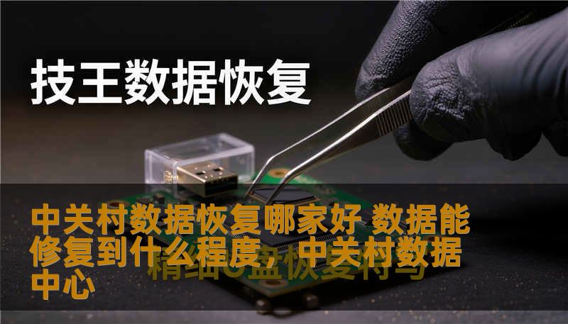 中关村数据恢复哪家好 数据能修复到什么程度，中关村数据中心