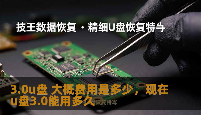 随着技术不断更新升级，U盘也经历了快速的变革，从传统的USB2.0到如今广泛应用的USB3.0。许多人对于3.0U盘的价格、性能以及选购标准有着各种疑问，今天我们将一一为你解答。