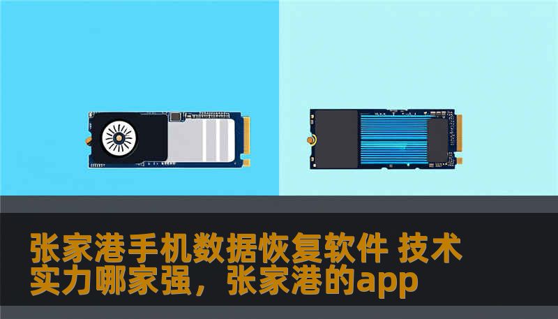 张家港手机数据恢复软件 技术实力哪家强，张家港的app