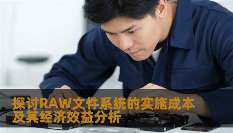 探讨RAW文件系统的实施成本及其经济效益分析