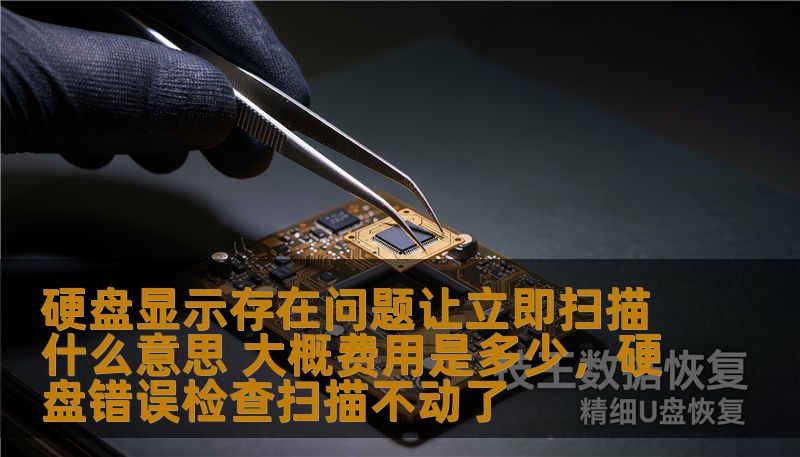 硬盘显示存在问题让立即扫描是什么意思？在面对硬盘故障时，及时扫描与修复是关键。本文将详细介绍硬盘问题的原因、如何判断硬盘故障以及扫描和修复的费用，帮助您更好地应对数据丢失和硬盘损坏的风险。