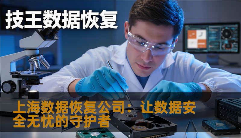 上海数据恢复公司：让数据安全无忧的守护者