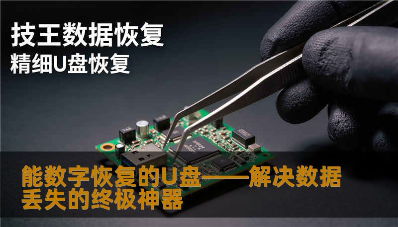 能数字恢复的U盘——解决数据丢失的终极神器