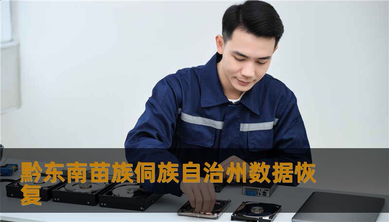 黔东南苗族侗族自治州数据恢复