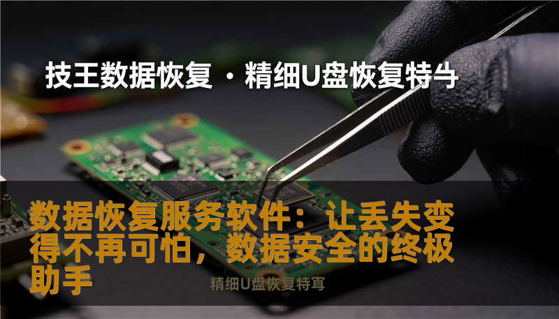 数据恢复服务软件：让丢失变得不再可怕，数据安全的终极助手