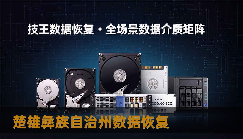 楚雄彝族自治州数据恢复