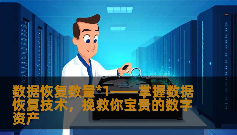 数据恢复数量*1——掌握数据恢复技术，挽救你宝贵的数字资产