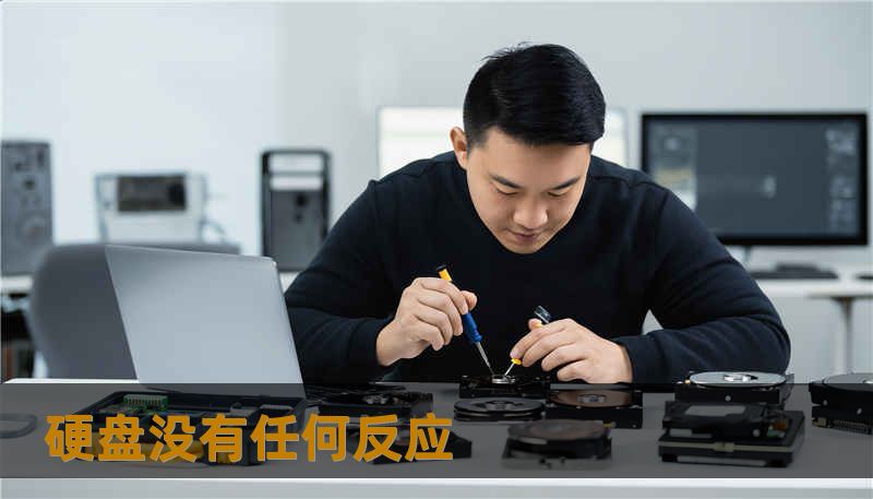 硬盘没有任何反应