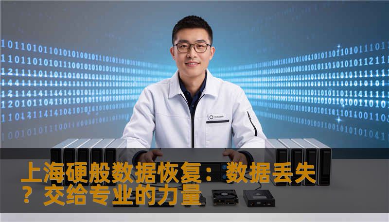 上海硬般数据恢复:数据丢失?交给专业的力量 上海硬般数据恢复:数据丢失?交给专业的力量
