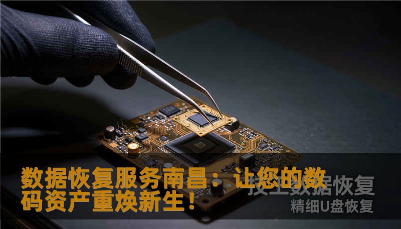 数据恢复服务南昌:让您的数码资产重焕新生! 数据恢复服务南昌:让您的数码资产重焕新生!