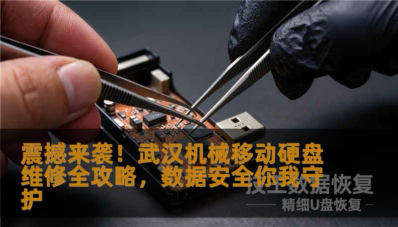 震撼来袭！武汉机械移动硬盘维修全攻略，数据安全你我守护