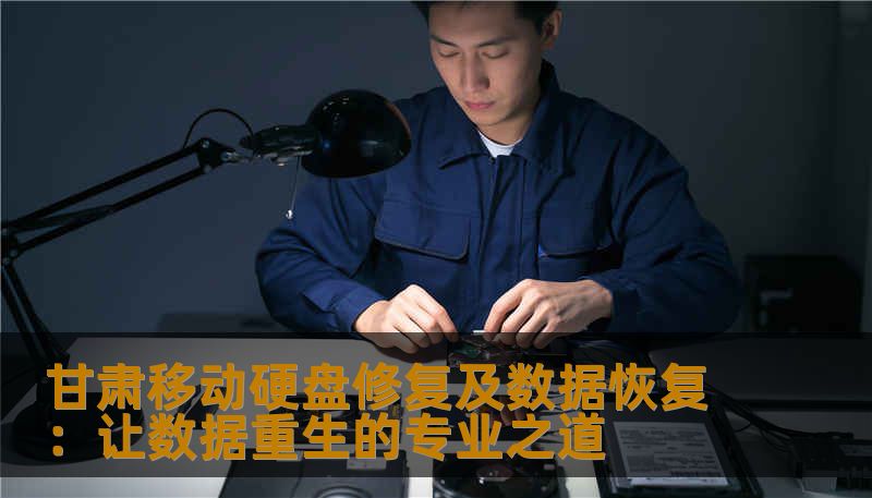 甘肃移动硬盘修复及数据恢复：让数据重生的专业之道