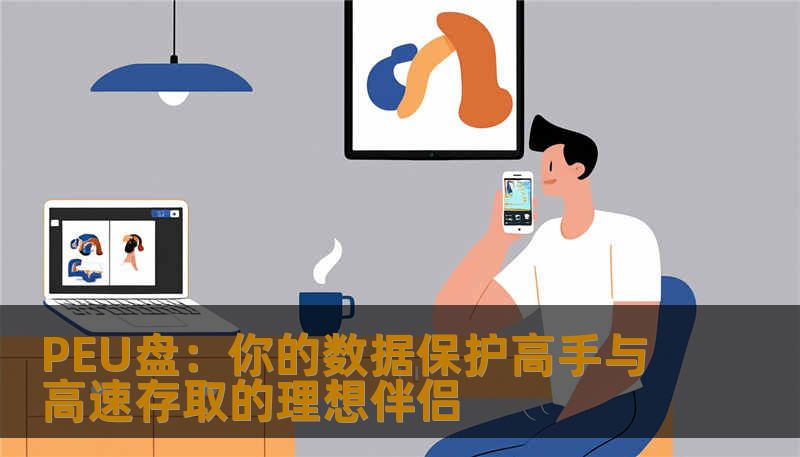 PEU盘：你的数据保护高手与高速存取的理想伴侣