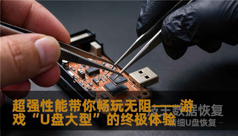 超强性能带你畅玩无阻——游戏“U盘大型”的终极体验