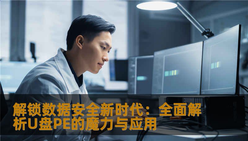 解锁数据安全新时代：全面解析U盘PE的魔力与应用