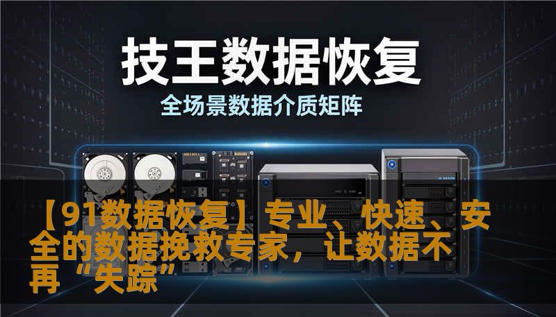 【91数据恢复】专业、快速、安全的数据挽救专家，让数据不再“失踪”