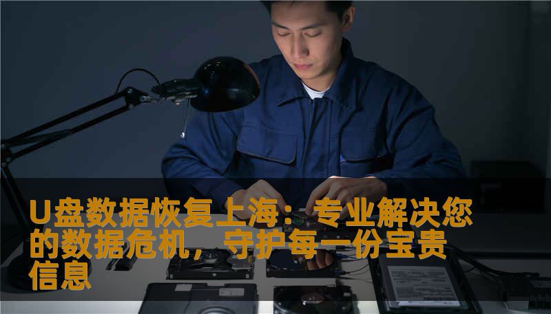 在上海，数据丢失已不稀奇，但如何快速、安全、高效地恢复U盘中的重要数据？本文将为您揭示专业U盘数据恢复的秘密，让您的数据危机迎刃而解。