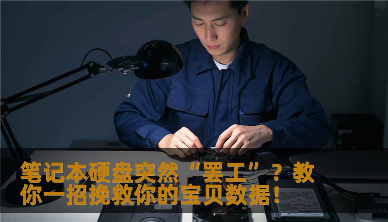笔记本硬盘突然“罢工”？教你一招挽救你的宝贝数据！