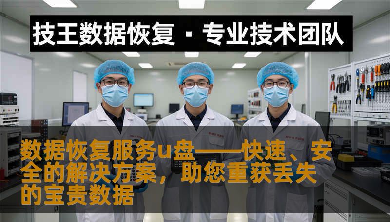 数据恢复服务u盘——快速、安全的解决方案,助您重获丢失的宝贵数据 数据恢复服务u盘——快速、安全的解决方案,助您重获丢失的宝贵数据