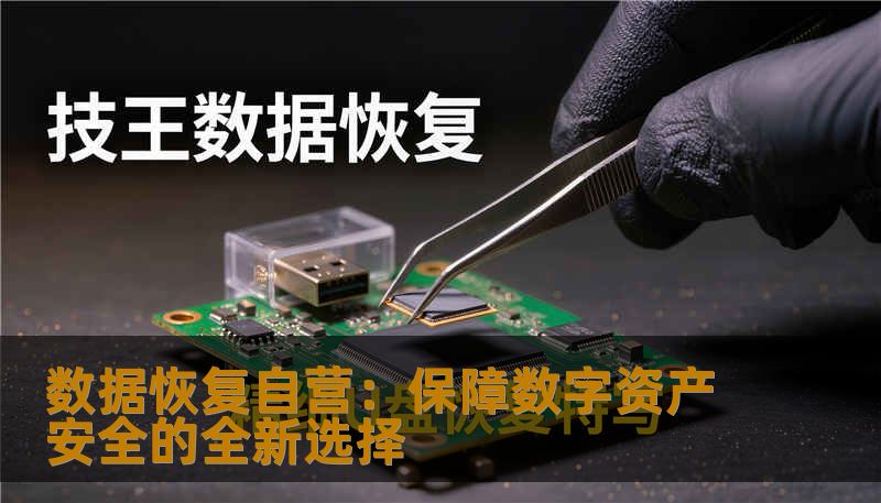 数据恢复自营：保障数字资产安全的全新选择