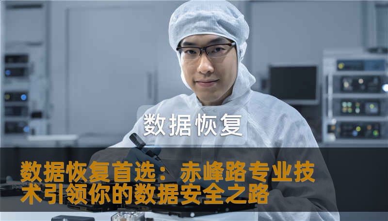 数据恢复首选：赤峰路专业技术引领你的数据安全之路