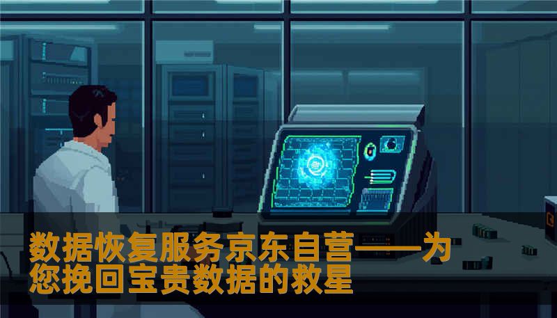 数据恢复服务京东自营——为您挽回宝贵数据的救星