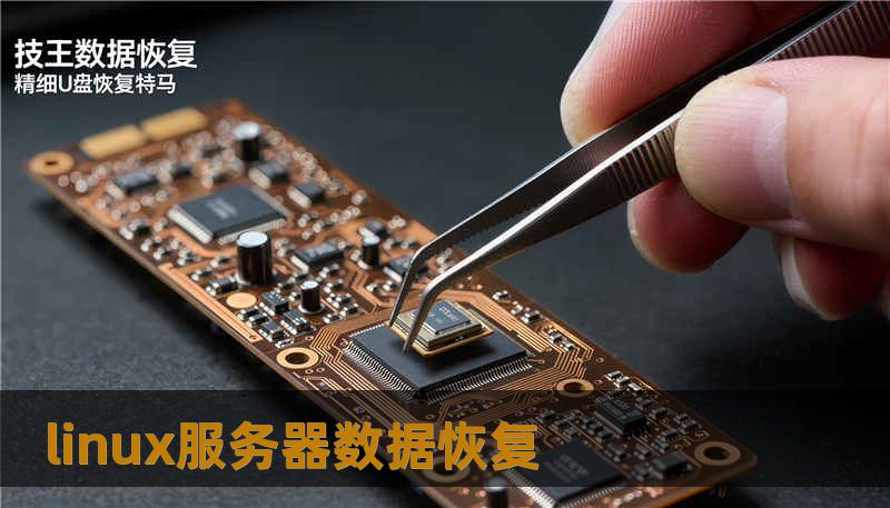 linux服务器数据恢复                    一次突如其来的Linux服务器数据恢复，我的数据如何被救回    某天清晨，张先生，一个中型企业的IT主管，刚刚走进办公室，便接到了一个紧急电话——他公司负责的关键Linux服务器出现了严重故障，部分核心数据无法访问。尤其是那个存储着客户财务信息的RAID 6阵列，一度出现了多个硬盘掉线的情况。张先生顿时感到一阵无力，数据恢复的压力让