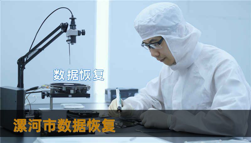 漯河市数据恢复