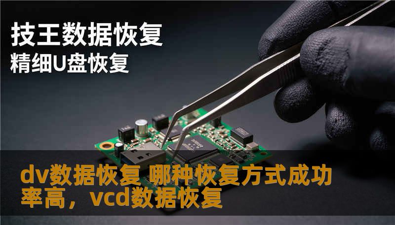 dv数据恢复 哪种恢复方式成功率高，vcd数据恢复