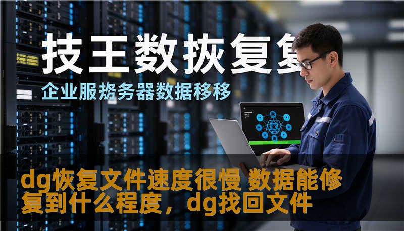 dg恢复文件速度很慢 数据能修复到什么程度，dg找回文件