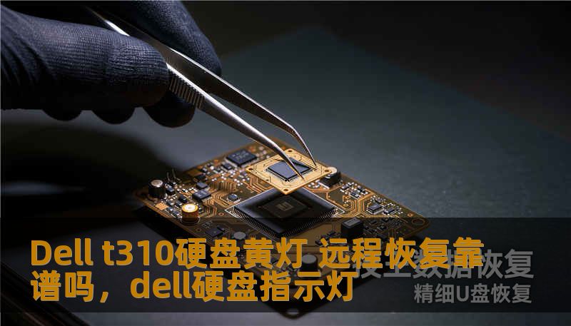 Dell t310硬盘黄灯 远程恢复靠谱吗，dell硬盘指示灯