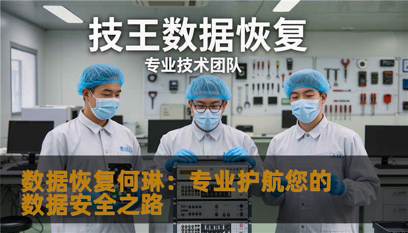 数据恢复何琳：专业护航您的数据安全之路
