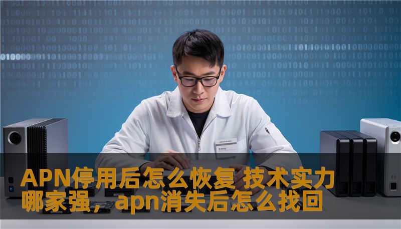 APN停用后怎么恢复 技术实力哪家强，apn消失后怎么找回