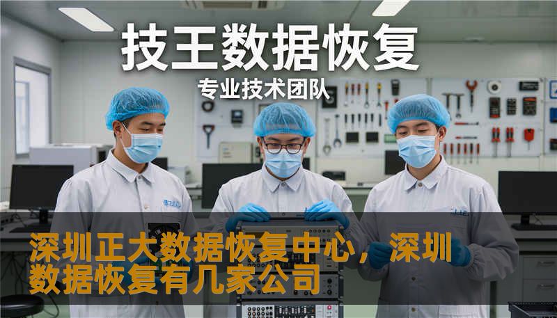 深圳正大数据恢复中心，深圳数据恢复有几家公司