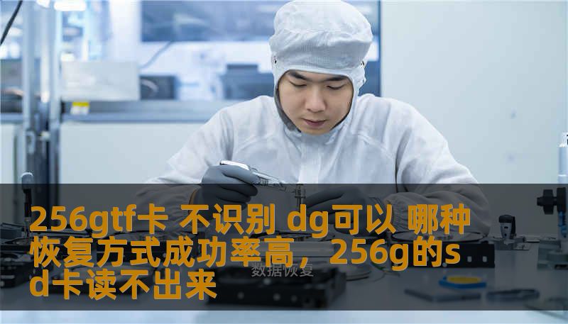 256gtf卡 不识别 dg可以 哪种恢复方式成功率高，256g的sd卡读不出来