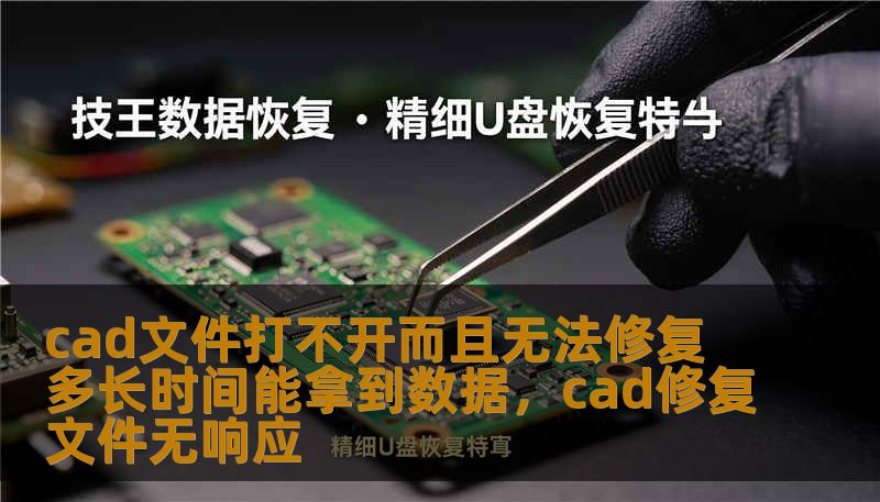 cad文件打不开而且无法修复 多长时间能拿到数据，cad修复文件无响应