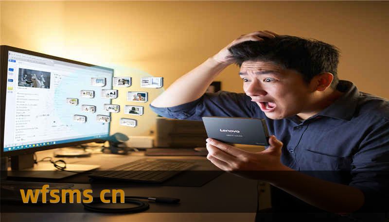 wfsms cn