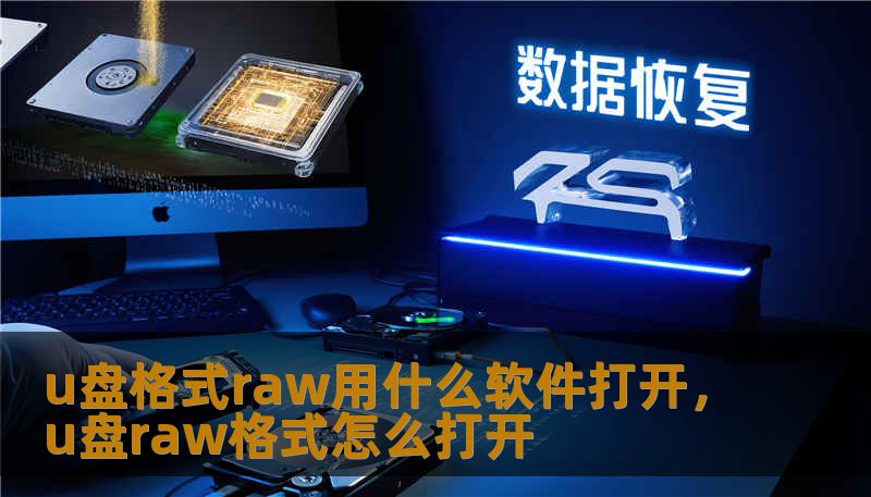u盘格式raw用什么软件打开，u盘raw格式怎么打开