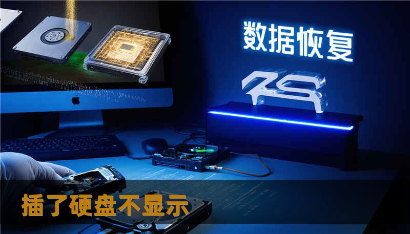 插了硬盘不显示