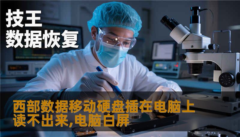 西部数据移动硬盘插在电脑上读不出来,电脑白屏