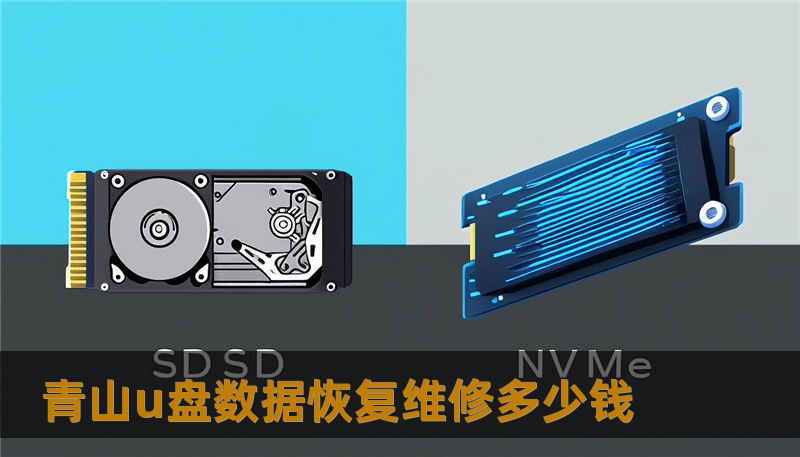 青山u盘数据恢复维修多少钱
