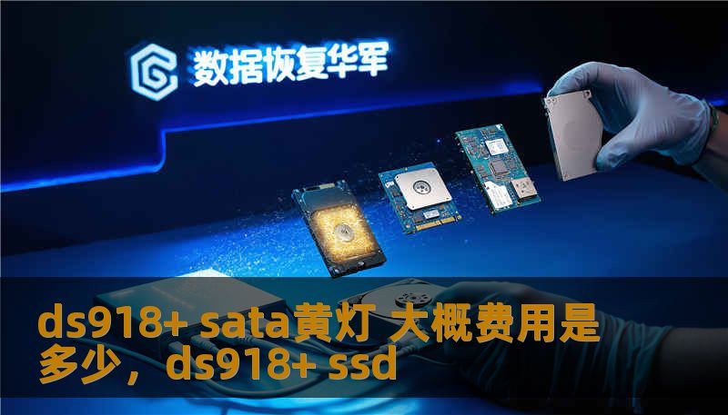 ds918+ sata黄灯 大概费用是多少，ds918+ ssd