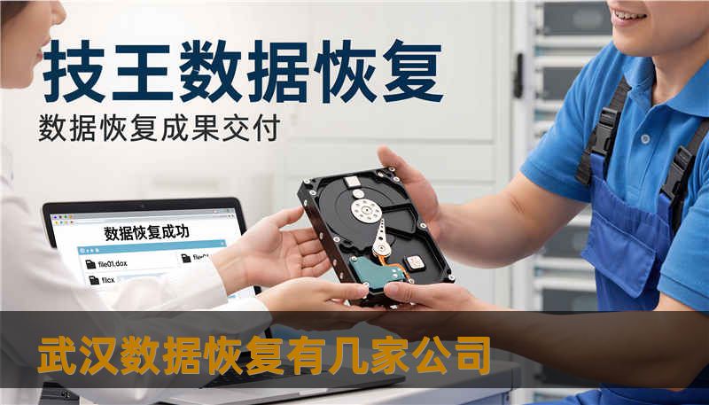 武汉数据恢复有几家公司
